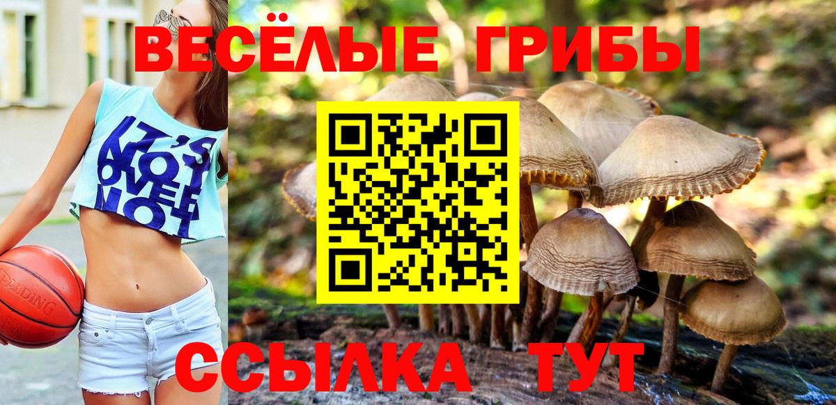 Галлюциногенные грибы ЛСД  Вход с VPN  Псилоцибиновые грибы Psilocybine cubensis  Чернушка 