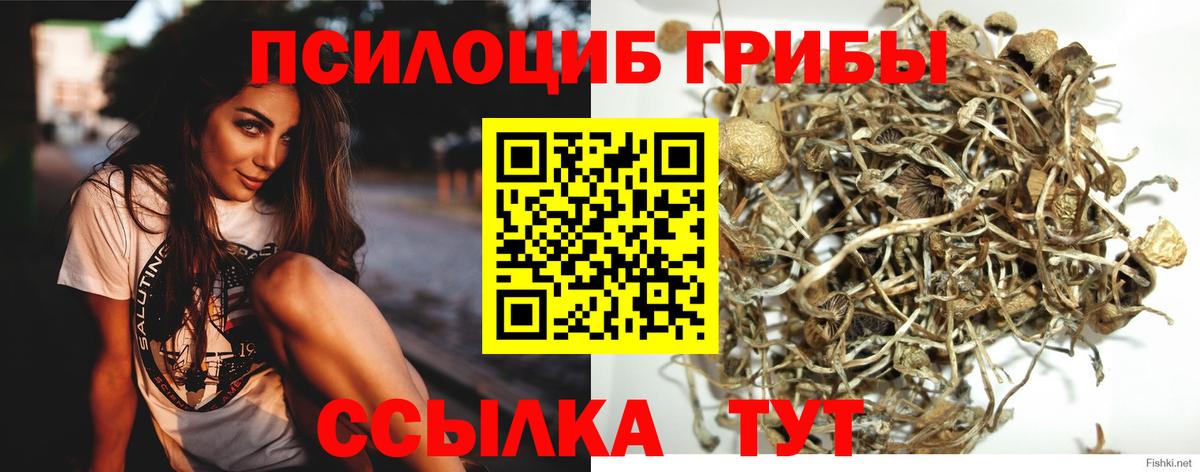 Галлюциногенные грибы ЛСД Чернушка